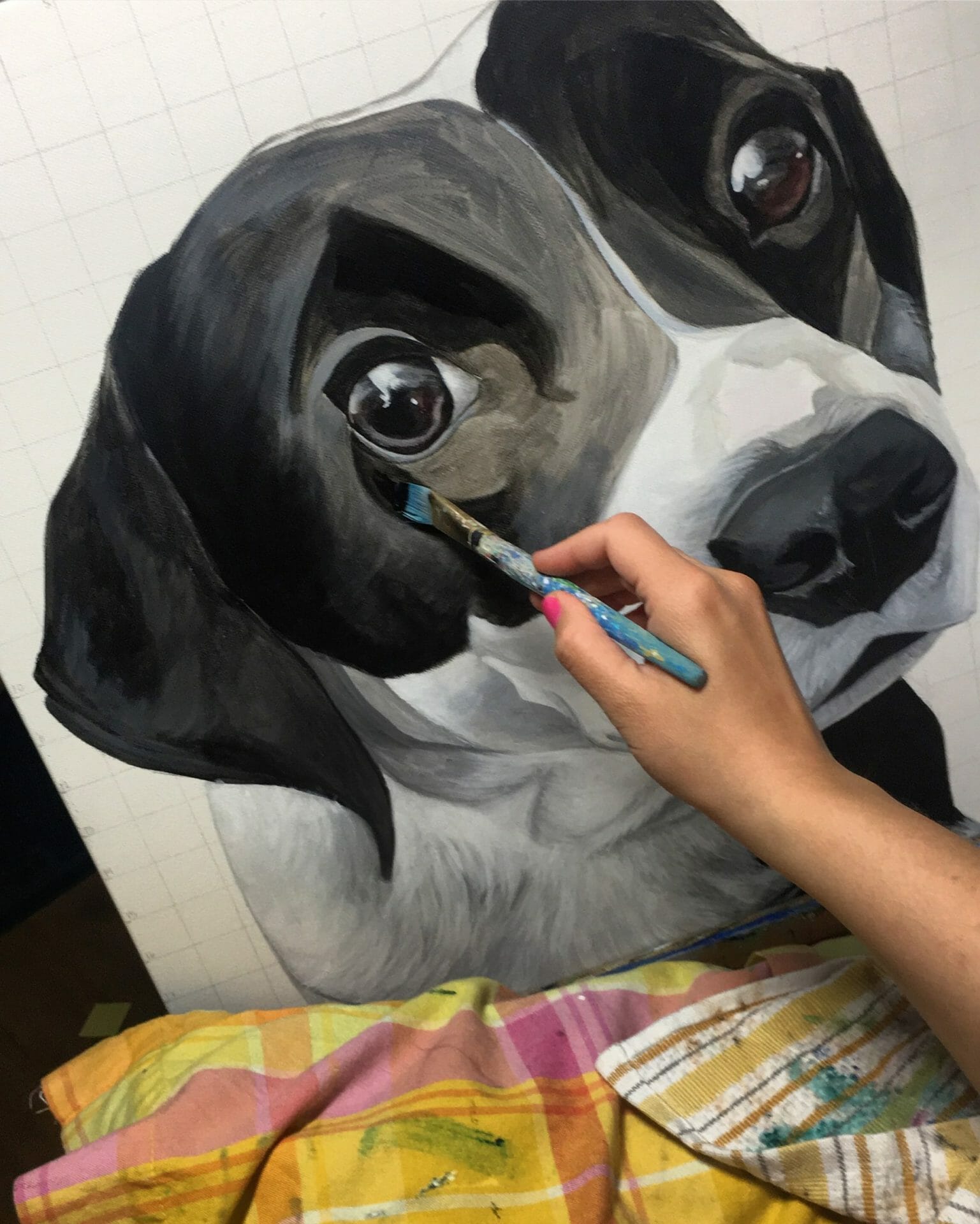 Erica Eriksdotter paints a portrait of a border collie dog