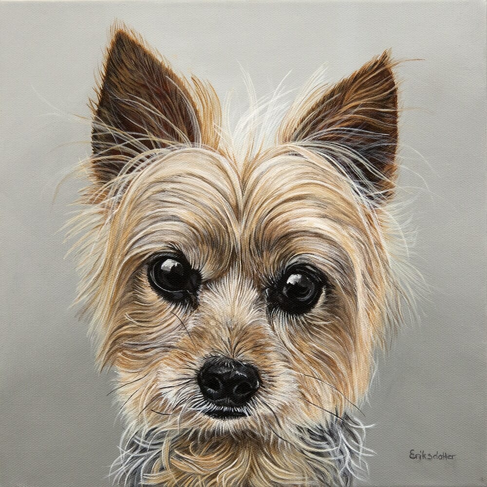 Custom dog portrait of a yorkshire terrier dog by fine arts painter Erica Eriksdotter