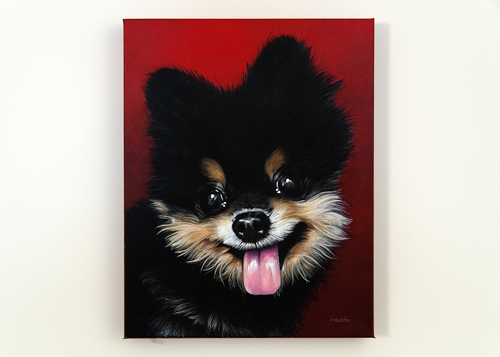 Custom dog portrait of a pomeranian dog by fine arts painter Erica Eriksdotter