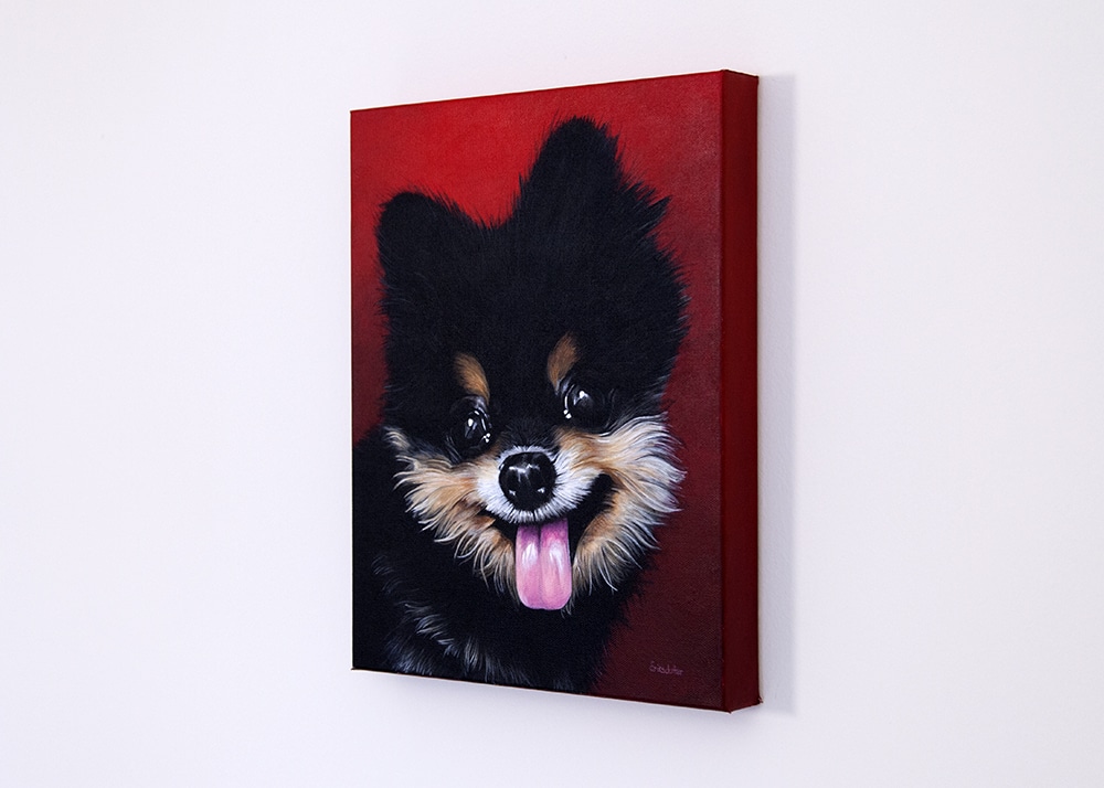 Custom dog portrait of a pomeranian dog by fine arts painter Erica Eriksdotter
