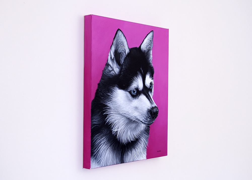 Custom dog portrait of an Alaskan Klee Kai dog by fine arts painter Erica Eriksdotter