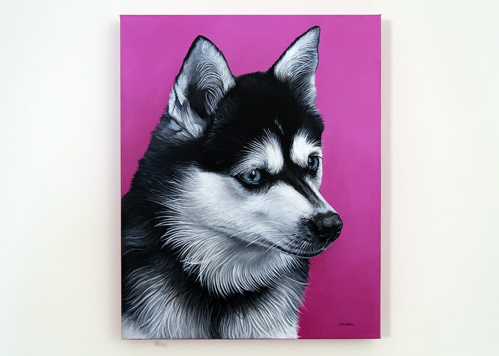 Custom dog portrait of an Alaskan Klee Kai dog by fine arts painter Erica Eriksdotter