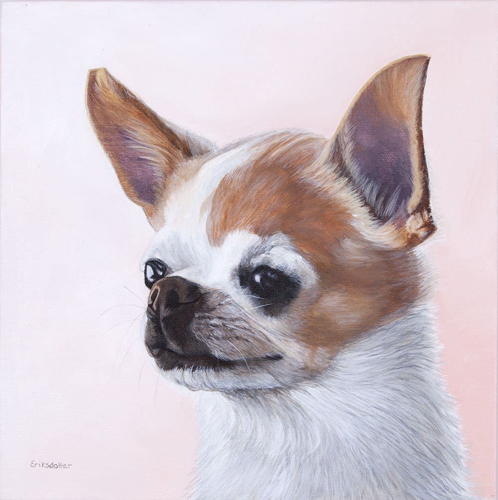 custom dog portrait of a chihuahua by Erica Eriksdotter