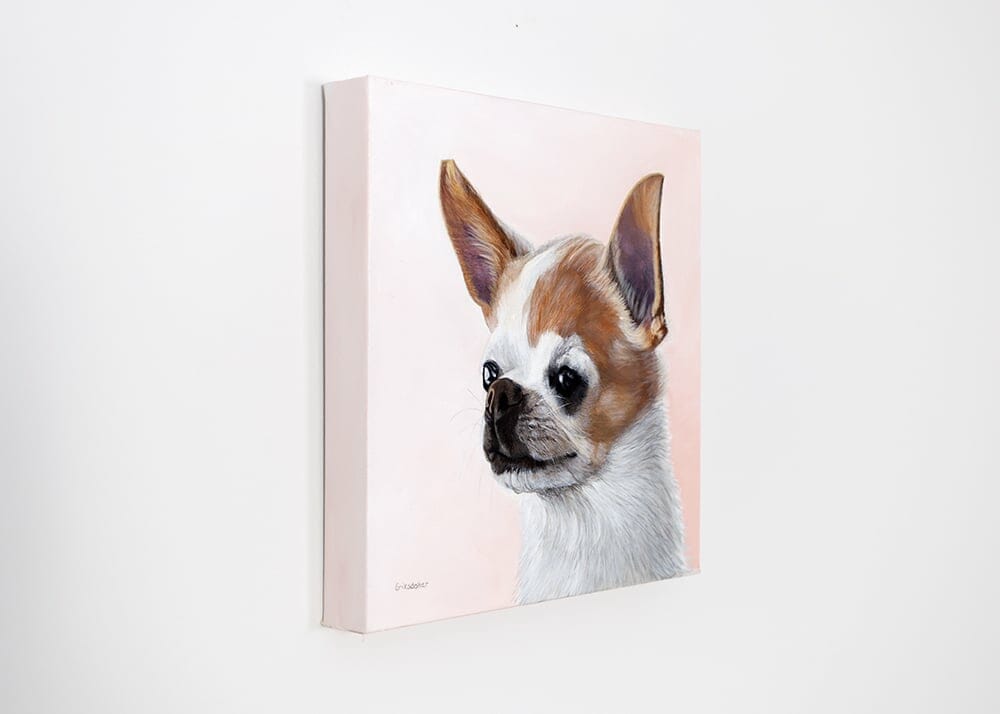 custom dog portrait of a chihuahua by Erica Eriksdotter
