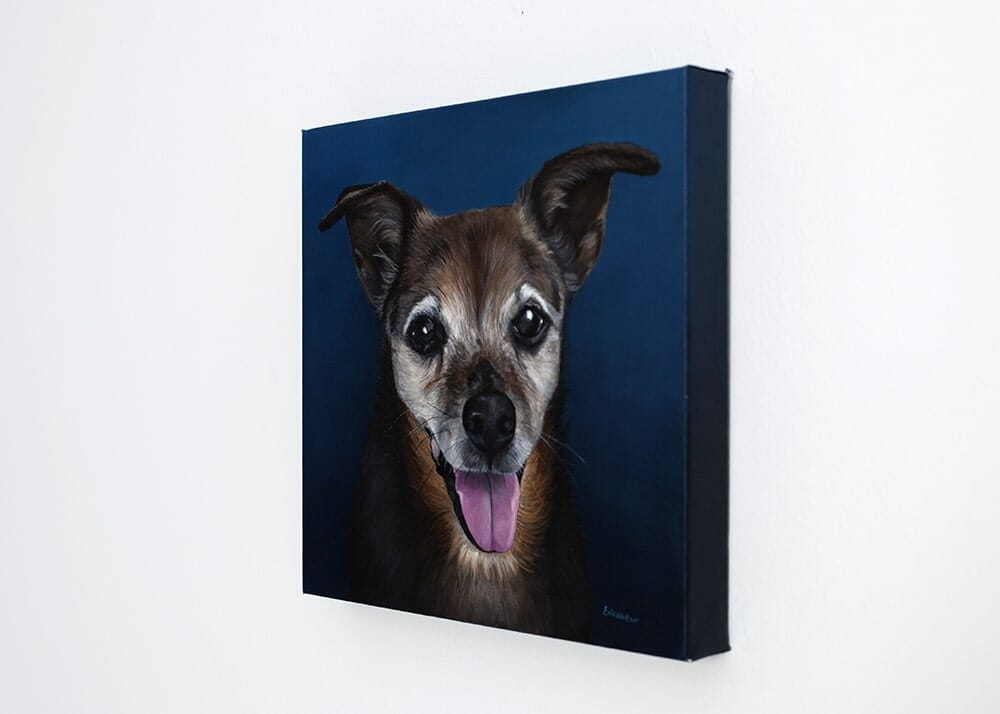 Custom dog portrait of a jack russell mix by artist Erica Eriksdotter