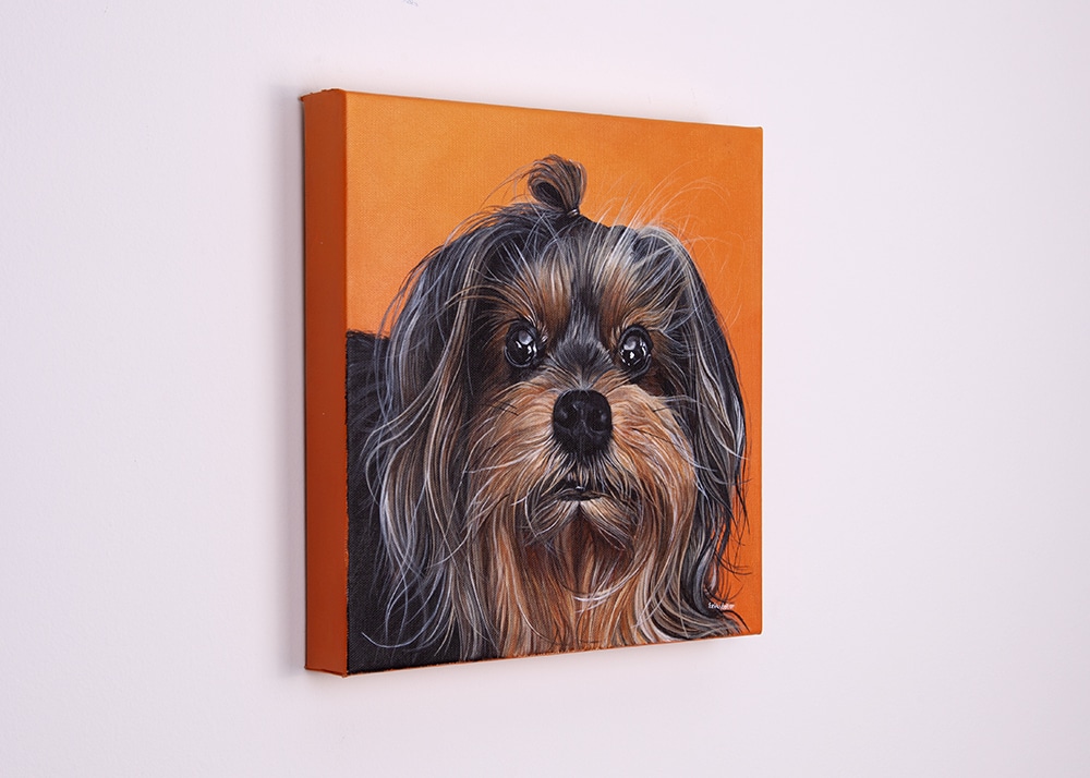 Custom dog portrait of a yorkshire terrier by artist Erica Eriksdotter