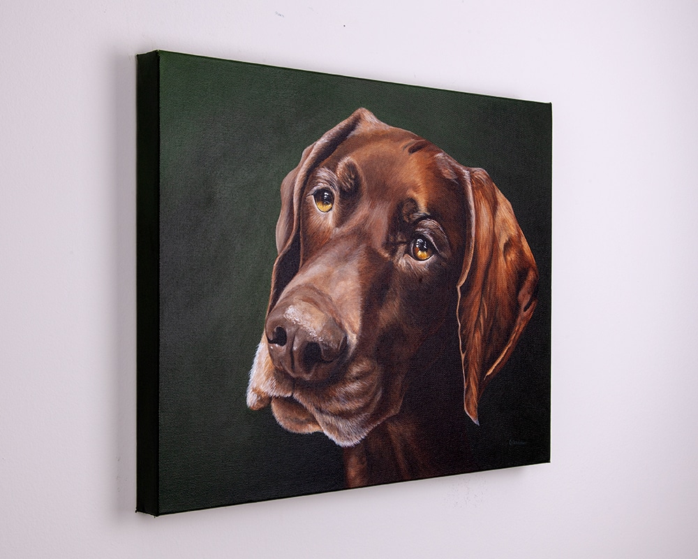 Custom dog portrait of a german shorthair pointer by artist Erica Eriksdotter