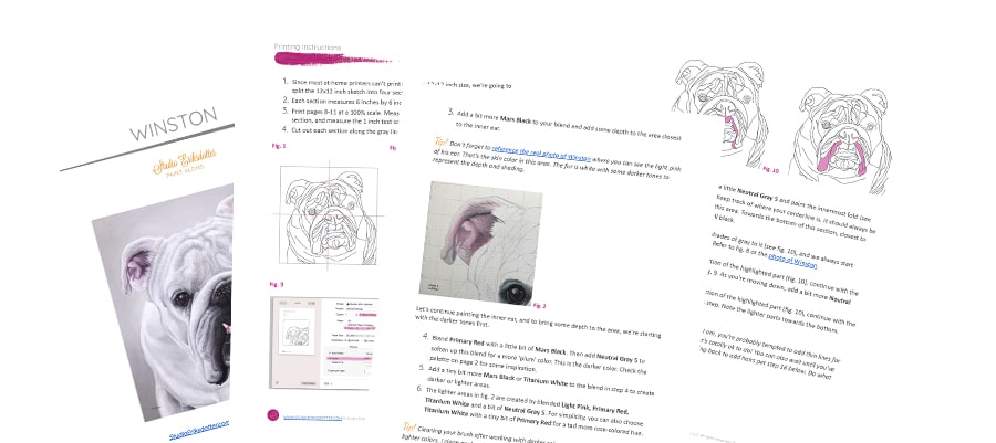 website-graph-winston-final