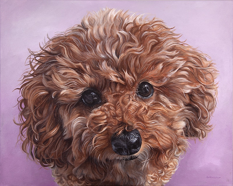 Close-up of a custom pet portrait painting of a curly brown dog with a black nose against a pink background
