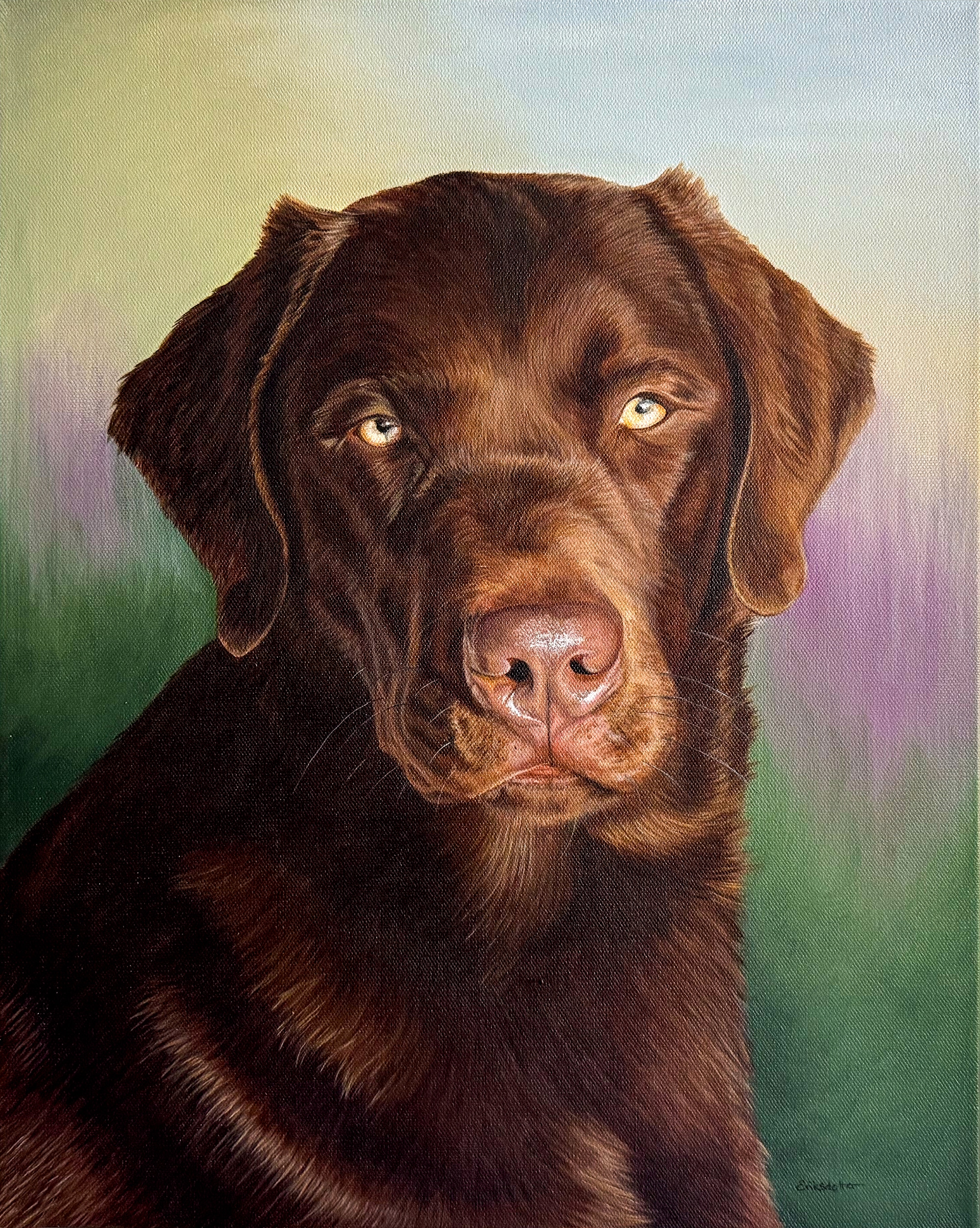 Custom pet portraits painted by Erica Eriksdotter, depicting a Chocolate Labrador dog with a soft green and purple background, created for a private client.