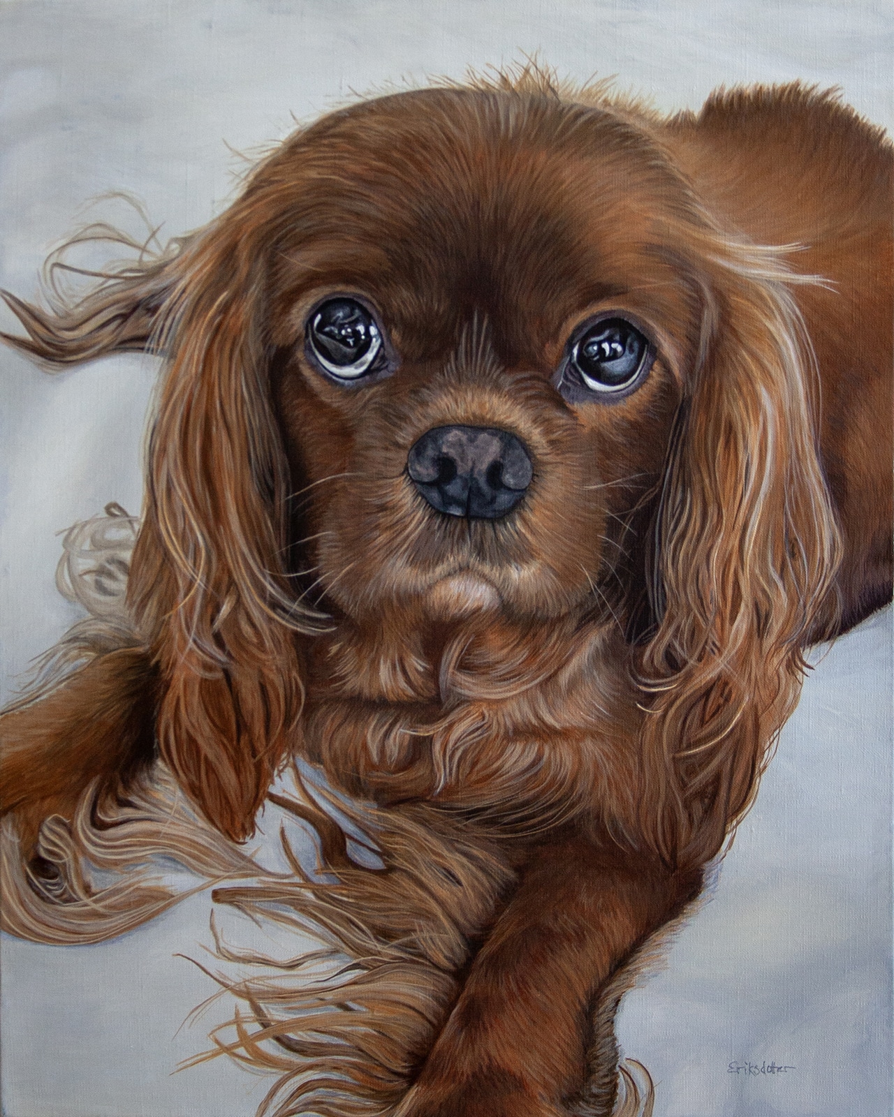 Custom pet portraits painted by Erica Eriksdotter, featuring a realistic portrait of a chestnut Cavalier King Charles Spaniel with soulful eyes, created for a private client.