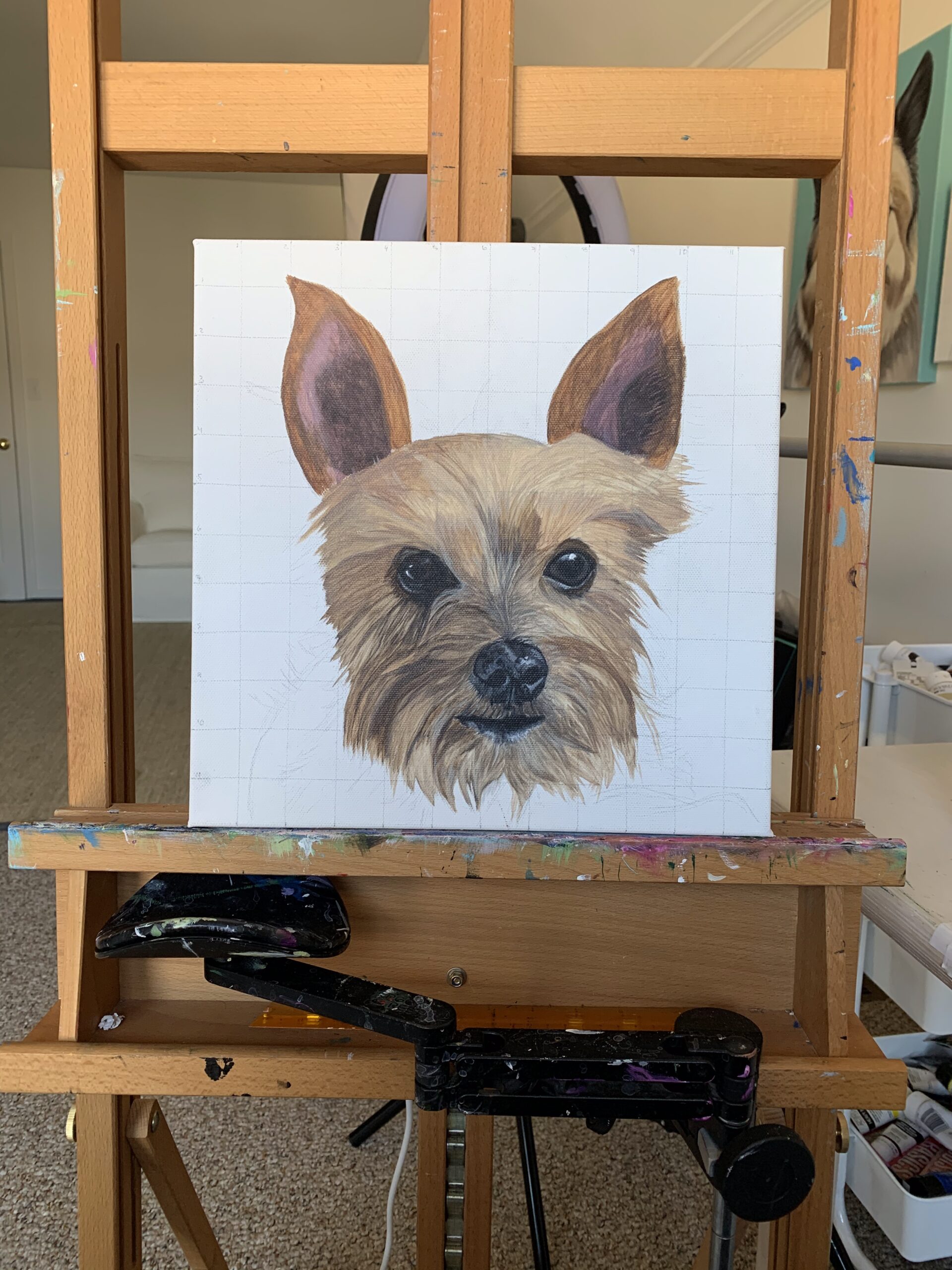 IMG_5451 (1) Painting of a small brown dog with pointy ears on a grid-lined canvas mounted on an easel in an artist's studio, cropped to the head.